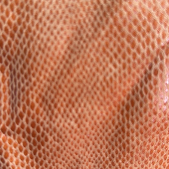 New with tags! Urban outfitters snake mini 🐍 - Picture 3 of 5